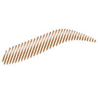 ALPHABEAUTYACADEMY beauty eyebrows academy alphabeautyacademy Sticker