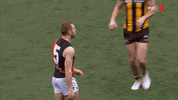 aussie rules sport GIF by Essendon FC