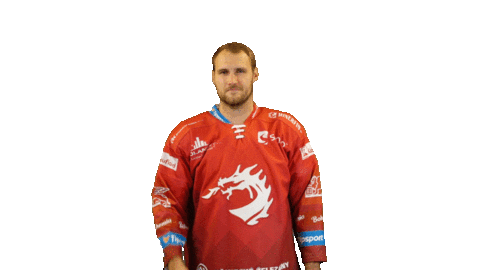 Ice Hockey Sticker Sticker by HC Oceláři Třinec