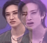 Skz Wtf GIF