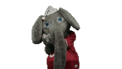 Alabama Football Ua Sticker by The University of Alabama