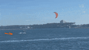 GIF by GoPublic
