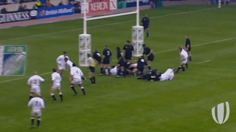 rugby world cup kick GIF by World Rugby