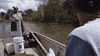 surprise fish GIF