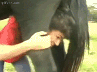 GIF by Demic