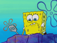 season 4 GIF by SpongeBob SquarePants