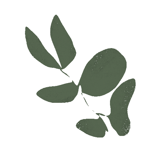 meganstclair_ giphyupload peace relax plant Sticker