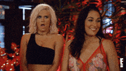 total divas what GIF by E!