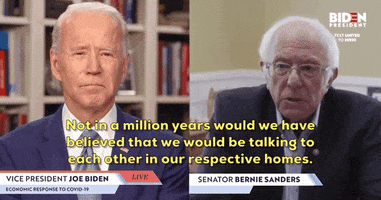 Bernie Sanders GIF