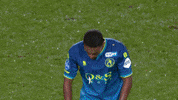GIF by FOX Sports