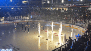 Hockey GIF by Angers