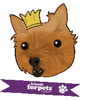 friendsforpetscardiff dog dogs pets paw prints Sticker