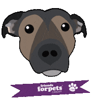 friendsforpetscardiff dog dogs pets paw prints Sticker