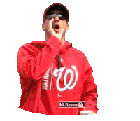 Baseball Booing Sticker by MLB