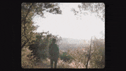 alancaravantes film nature alone forest GIF