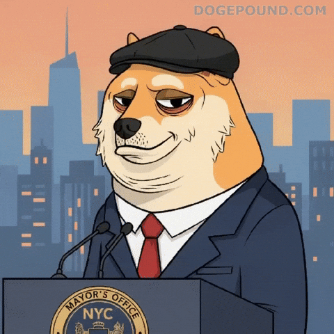 Press Conference Deal With It GIF by Doge Pound