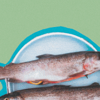 Facebook Empreendedorismo Feminino GIF by impulsionecomfacebook