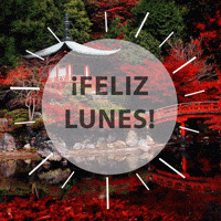 Feliz Lunes GIF