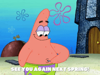 season 8 episode 3 GIF by SpongeBob SquarePants