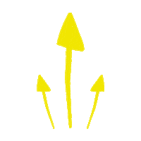 Arrow Seta Sticker by Fazenda Futuro