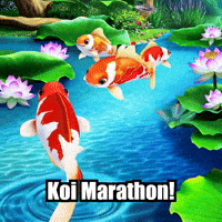 Koi Fish Endurance GIF by TheConfishius