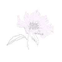 Mamarti_lab flower fiore mamartilab fioreillustrato Sticker