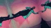 illvibe GIF by Blossöm Records