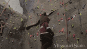 boomer msu GIF by Missouri State University
