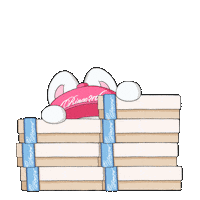 Park Eun Bin 박은빈 Sticker