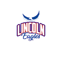 Cheerleading Lincoln Sticker by LincolnCollegeChile