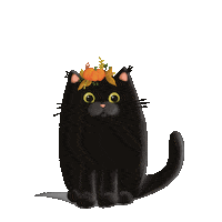 Black Cat Sticker