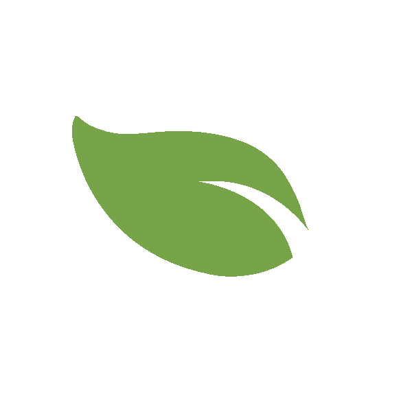 Kids Leaf Sticker by Cherubino