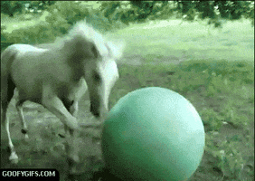 fail page epic board lame GIF