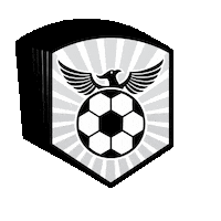 Together We Rise Sticker by RISE Soccer Club