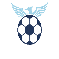 risesoccerclub together we rise rise soccer club rise sc always rise Sticker