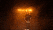Softball Sb GIF by Pearl River Athletics