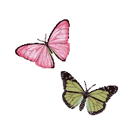 Spring Fly Sticker by P13PaperProducts