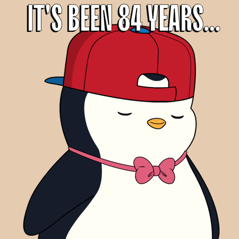 GIF by Pudgy Penguins