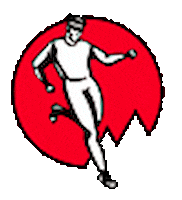 World Series Sticker by Skyrunning