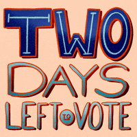 Vote Now Election 2020 GIF by INTO ACTION