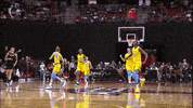 James Harden Sport GIF by WNBA