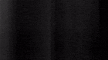 Football Sport GIF by SK Sturm Graz