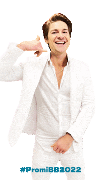 Promibb Promibigbrother Sticker by sat1