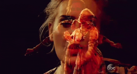 GIF by Mashable