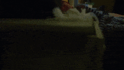 Messy Room Niki Gabi GIF by nikidemar