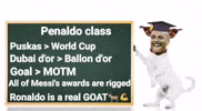 Pessi Varca GIF