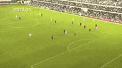 santos fc GIF by Santos Futebol Clube