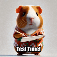 Guinea Pig Test GIF by Guinea Gambino