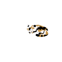 Cat Kitten Sticker by Kyte BABY