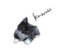 Cat Calico Sticker